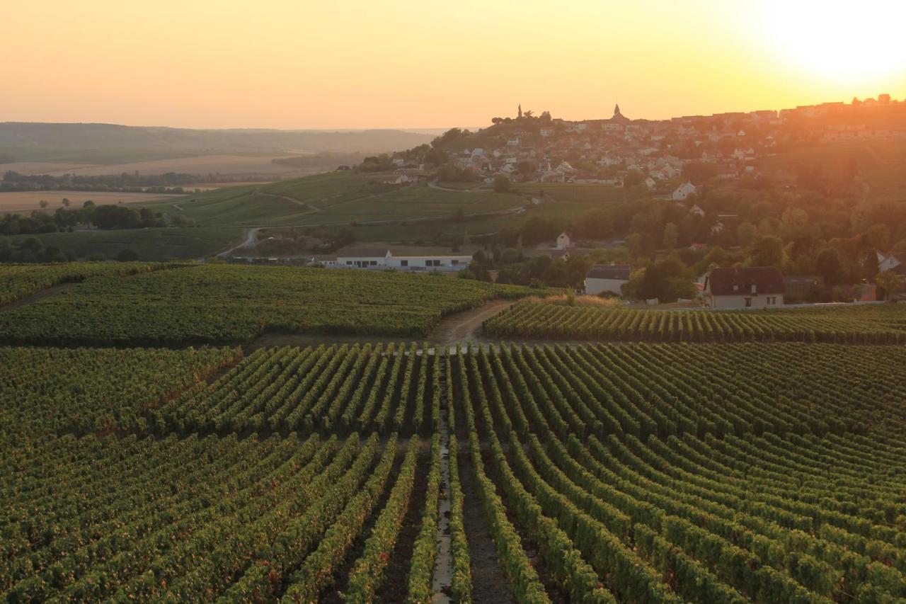 Lodge De La Vigneronne Châtillon-sur-Marne Екстериор снимка