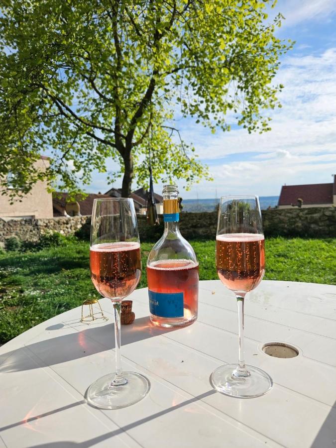 Lodge De La Vigneronne Châtillon-sur-Marne Екстериор снимка
